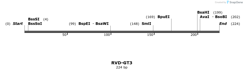 336325_map