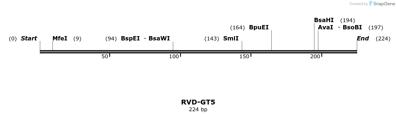 336327_map