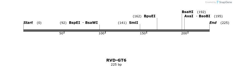 336328_map