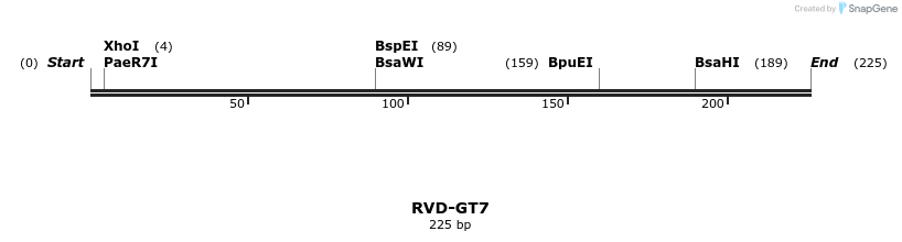 336329_map