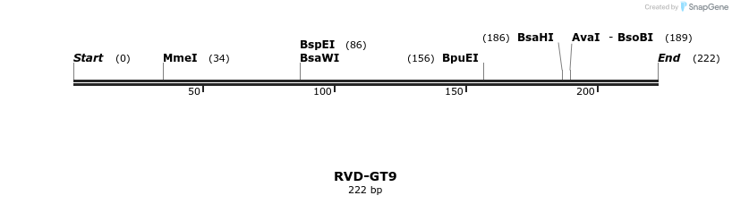 336331_map