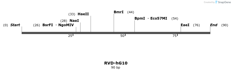 336333_map