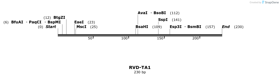 336335_map