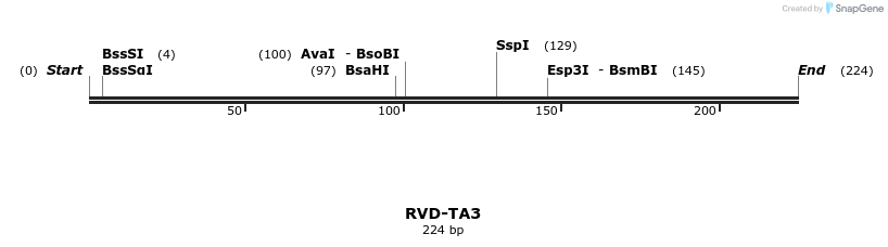336337_map