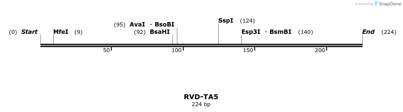 336339_map