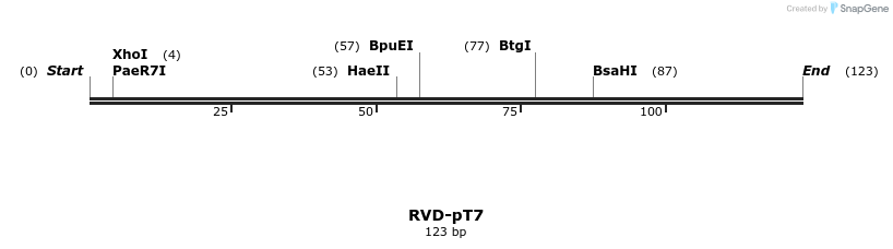 336345_map