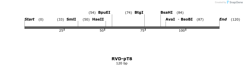 336346_map