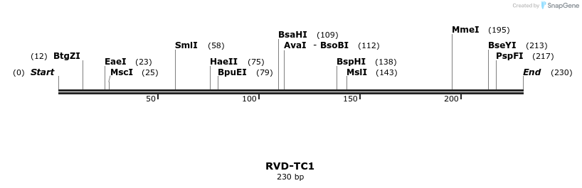 336347_map