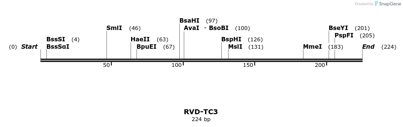 336349_map