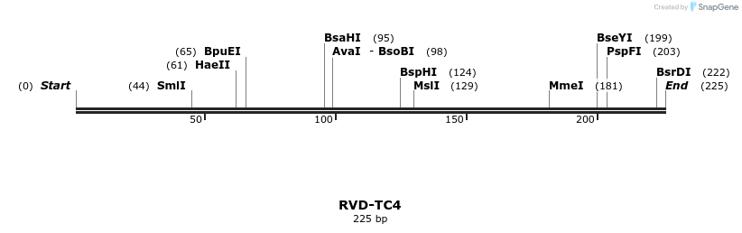 336350_map