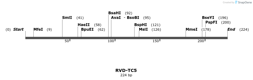 336351_map