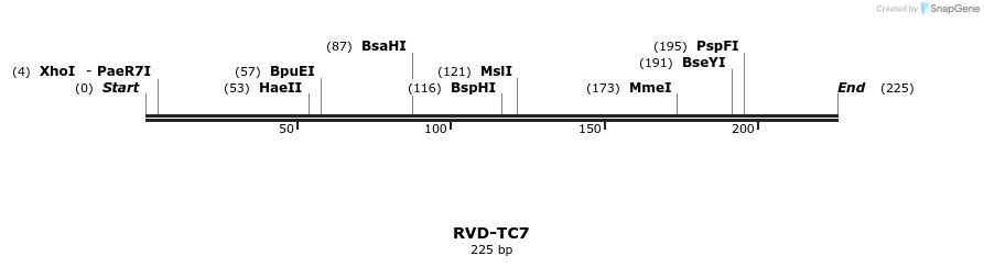 336353_map