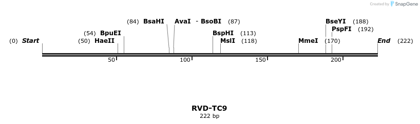 336355_map