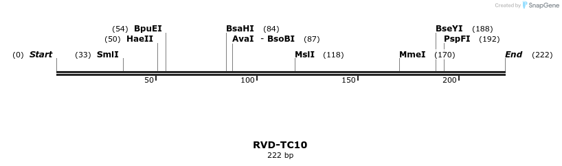 336356_map