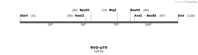 336357_map