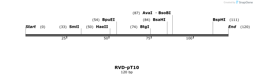 336358_map