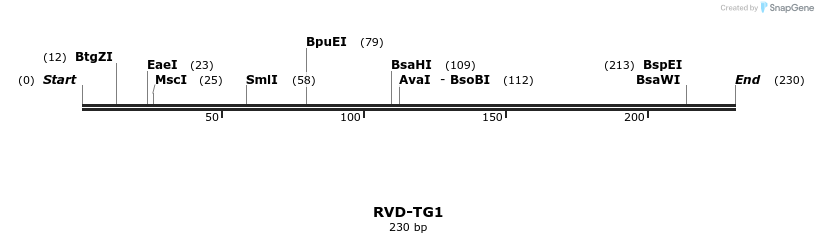 336359_map