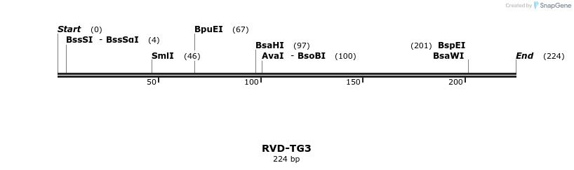 336361_map