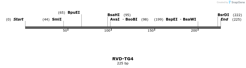 336362_map