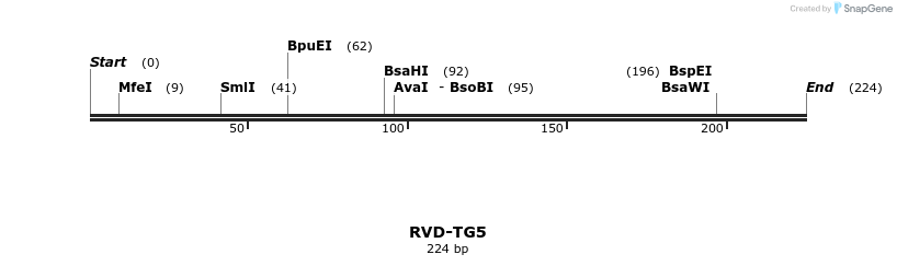 336363_map