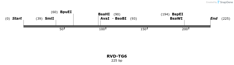 336364_map