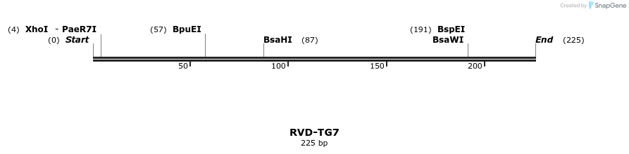 336365_map