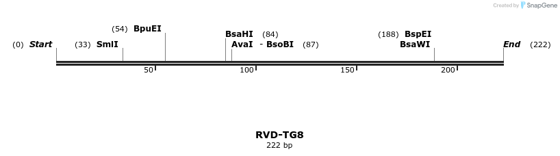 336366_map
