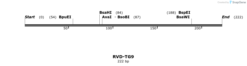 336367_map