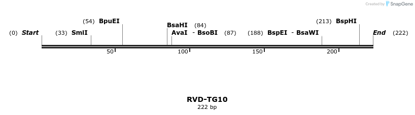 336368_map