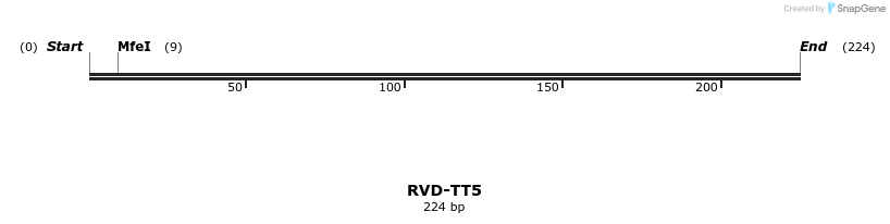 336375_map