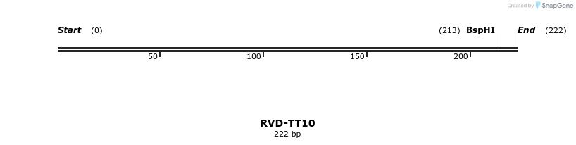 336380_map