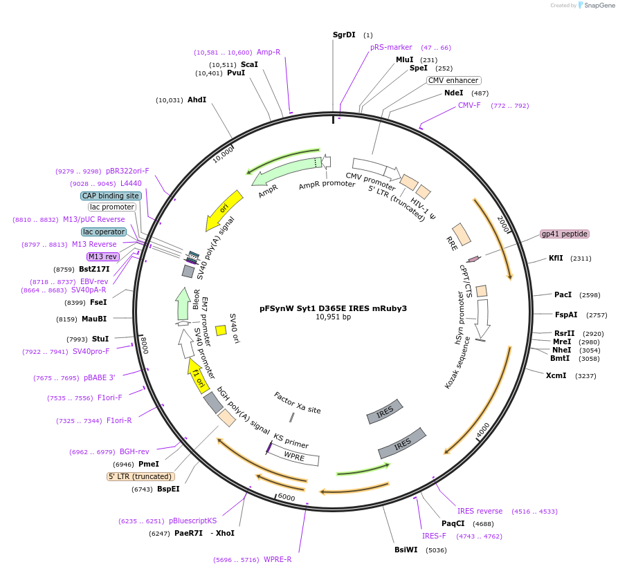 336390_map