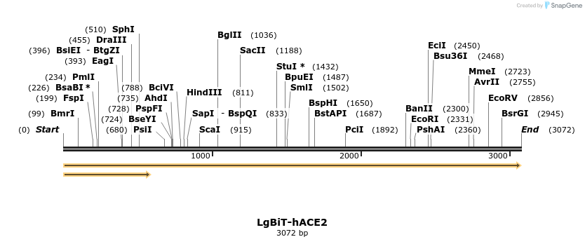 336401_map