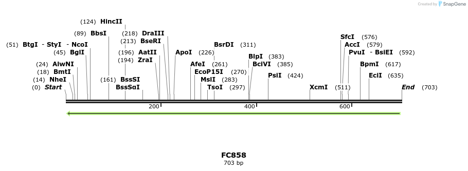 33641_map