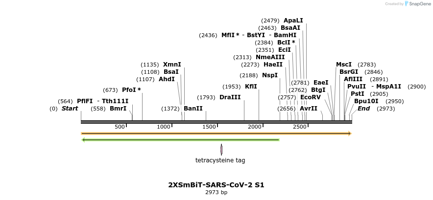 336410_map