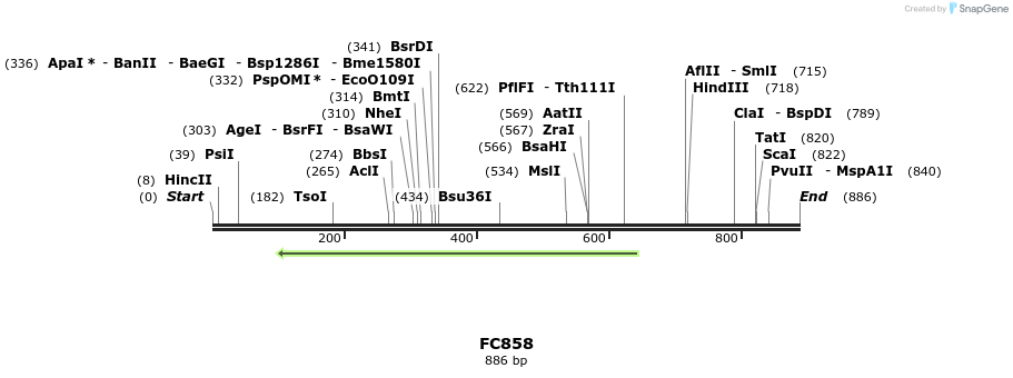33642_map
