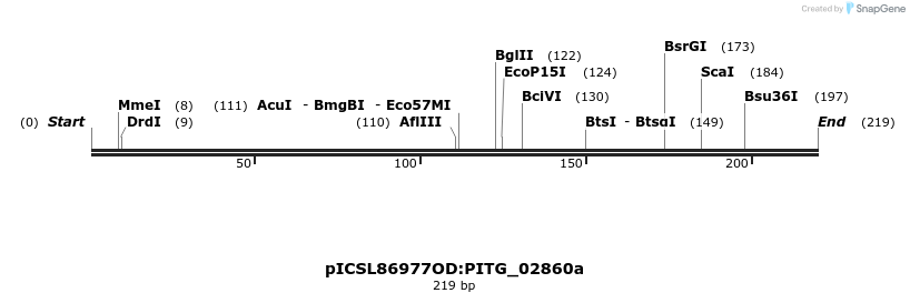336539_map