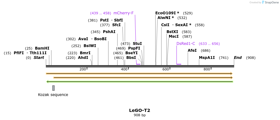 33655_map