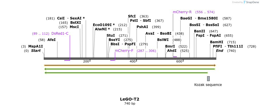 33656_map