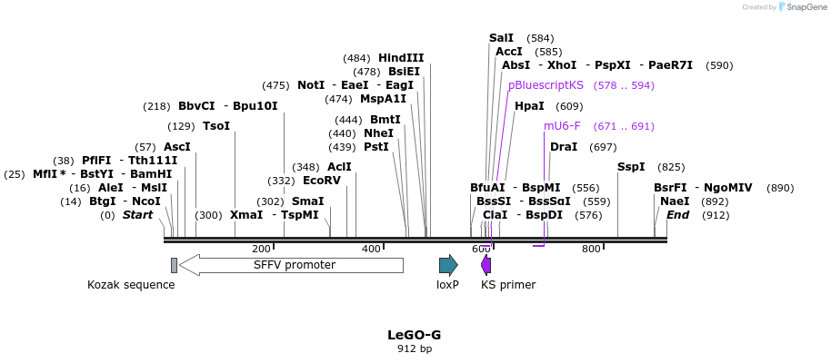 33661_map