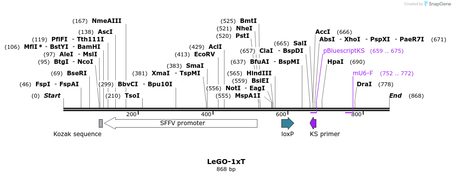 33667_map