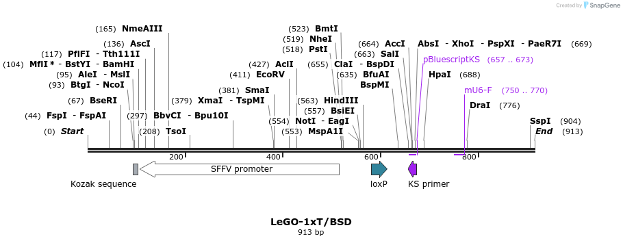 33669_map