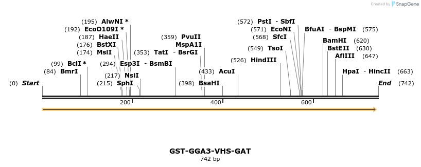 336876_map
