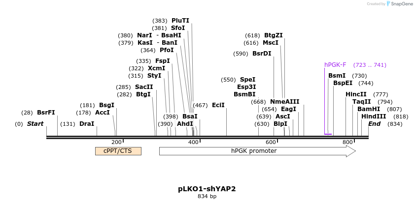 33690_map