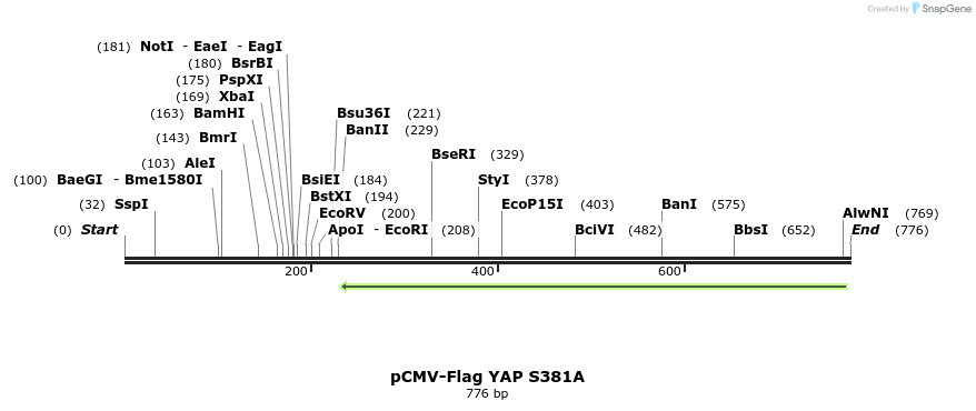 33694_map