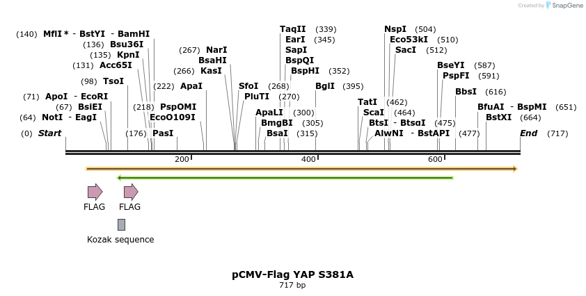 33695_map