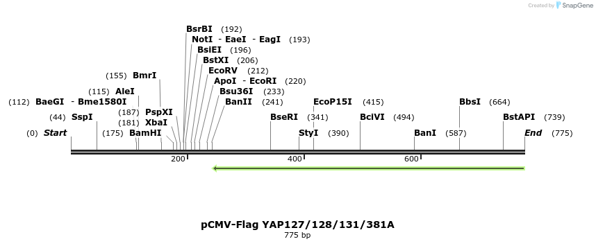 33696_map