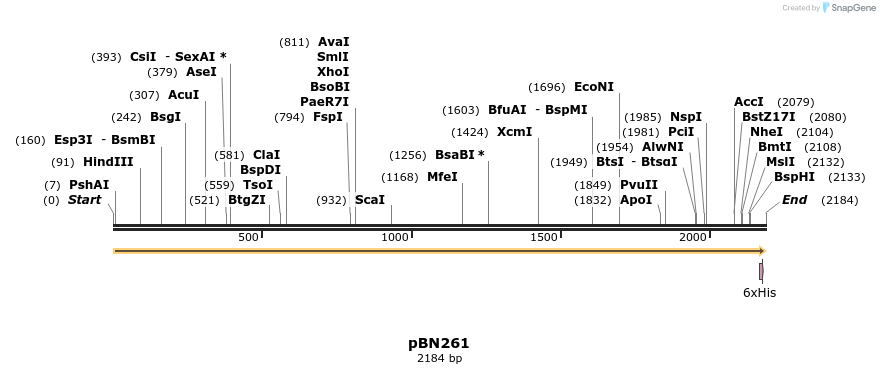 336973_map
