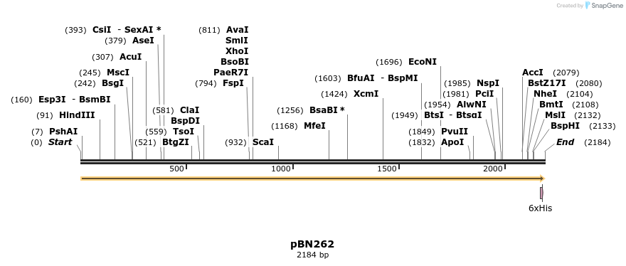 336974_map