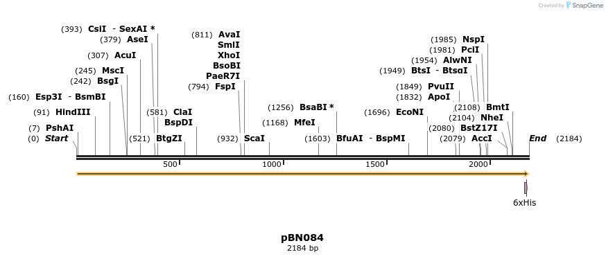336978_map